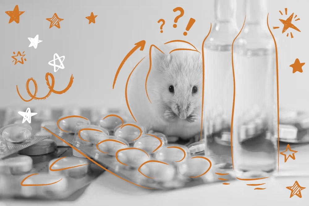 The-drugs-effect-was-tested-in-two-animal-models