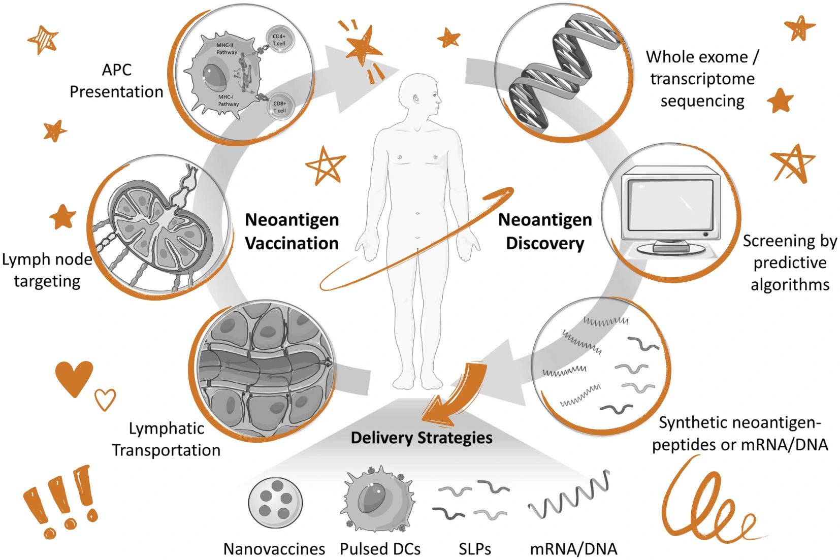 Cooperation-in-the-Development-of-Neantigen-Vaccines